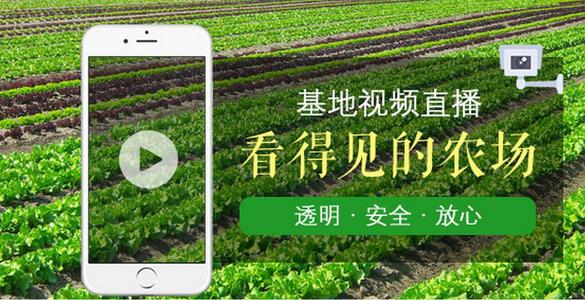 增强信任.jpg